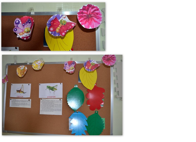 Отчёт по ТЗ