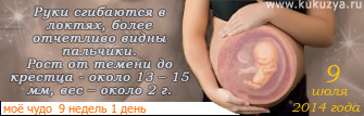 Все подсчитывают разную дату родов