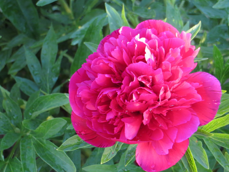 Корзиночка для выставки!