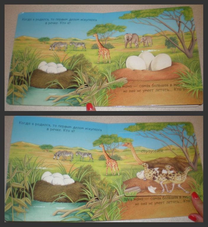 Наши книжечки 1 год и 1 месяц.