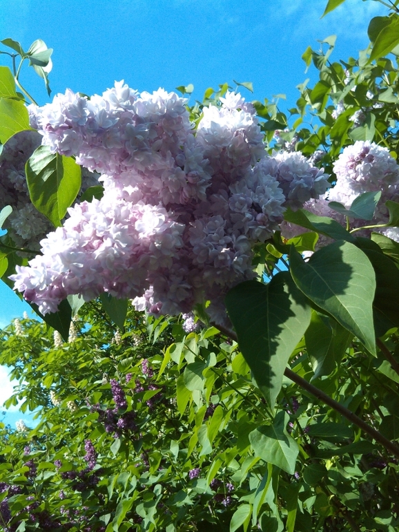 Съездила к Матронушке!