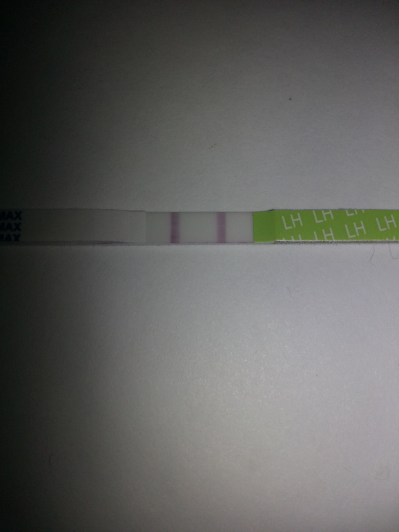 Повторила тест.Гляньте.