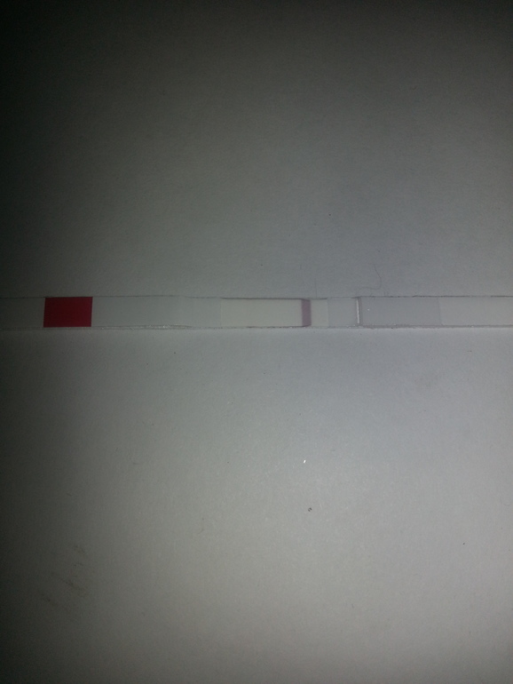 Замочила тест.