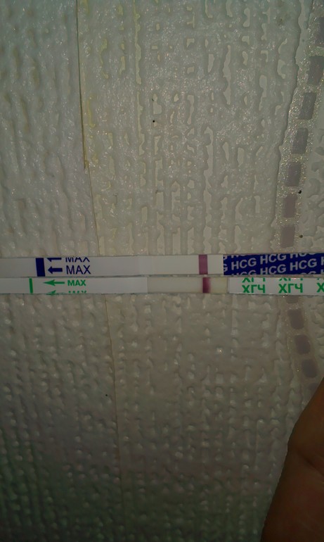 крыша едет не спеша