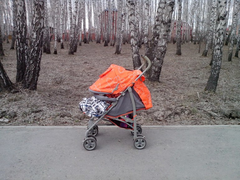 Наша красавица Мишутка SL 106