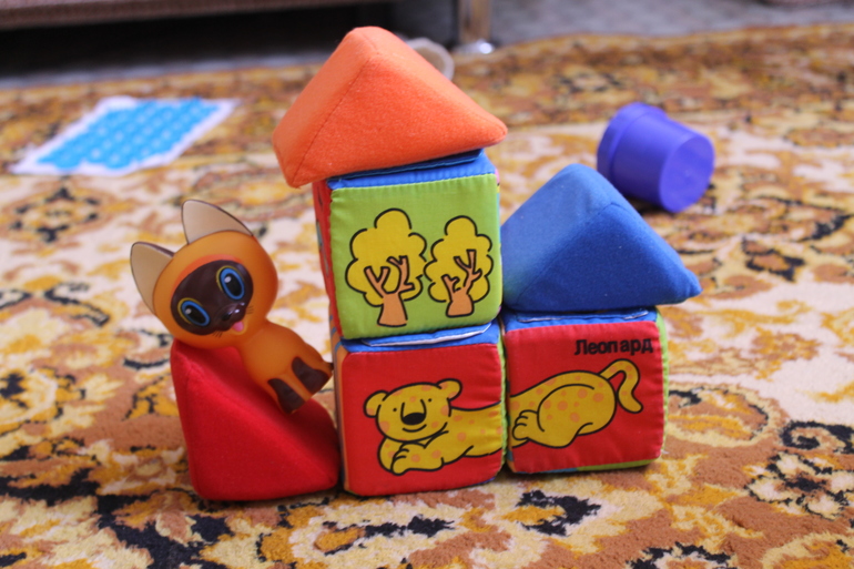 ТН Лучшие друзья человека. Кошка день 1