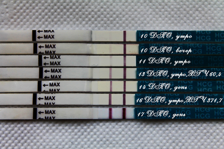 Я беременна!