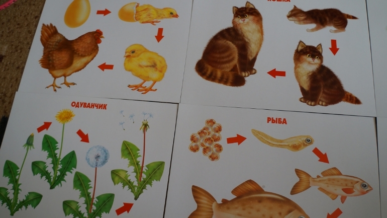 Наконец мы дождались......