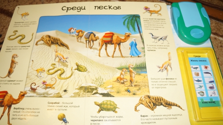 мой хвастик!!!!