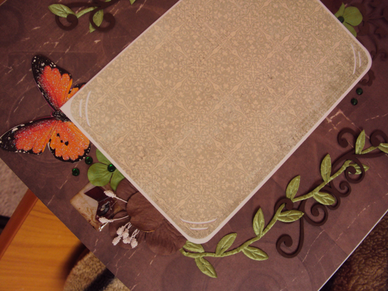 Мой первый мужской альбом)