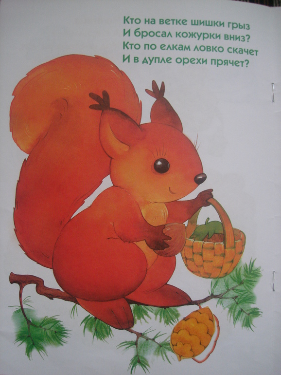 ТД Как живут белки зимой