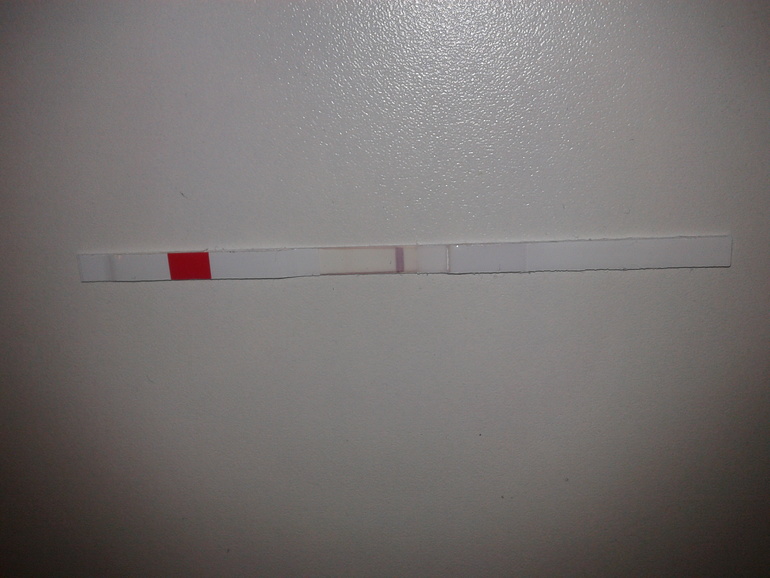 начинающая тестоманка:-)