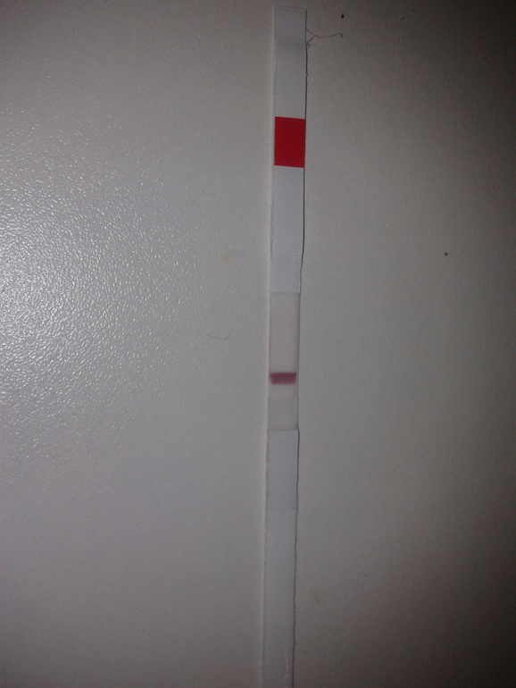 начинающая тестоманка:-)