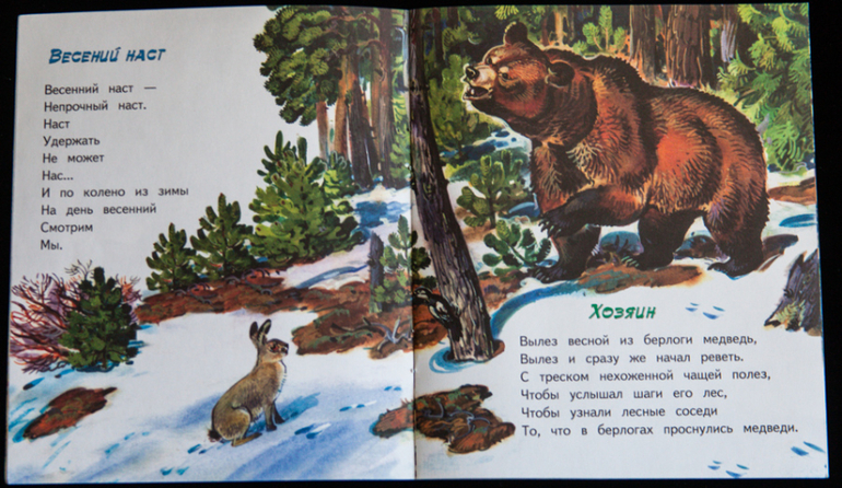 Дешевые книжки от издательств Яблоко и Адонис