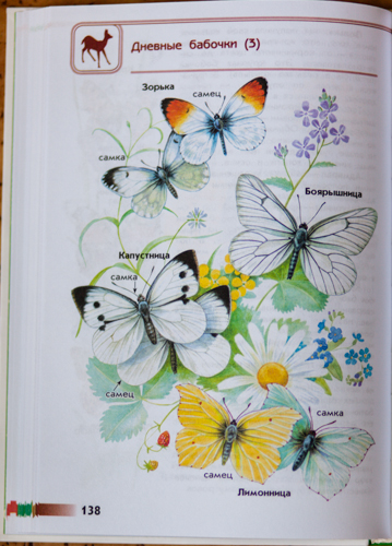 Как перевернулся мой мир!