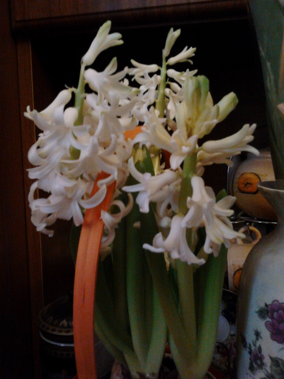 Показ полочек... и не только