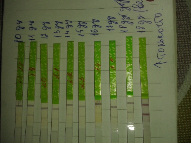 неужели поздняя овуляция??