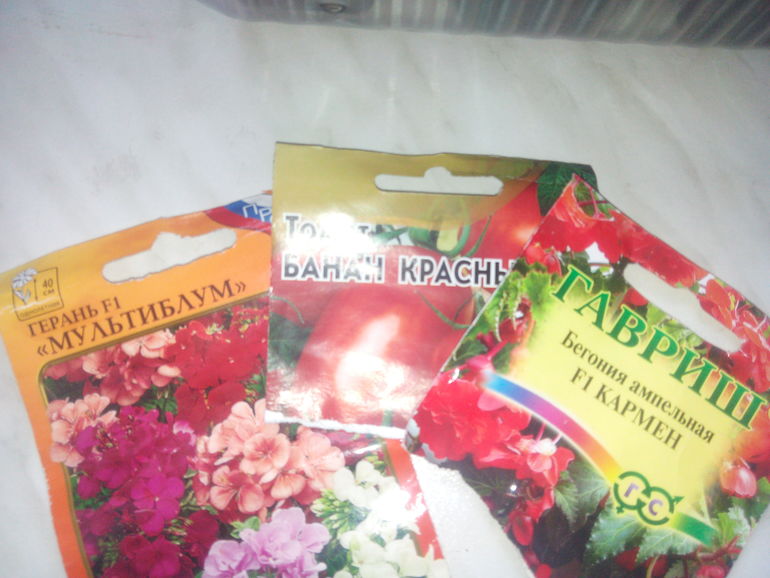 Фиговый из меня цветовод