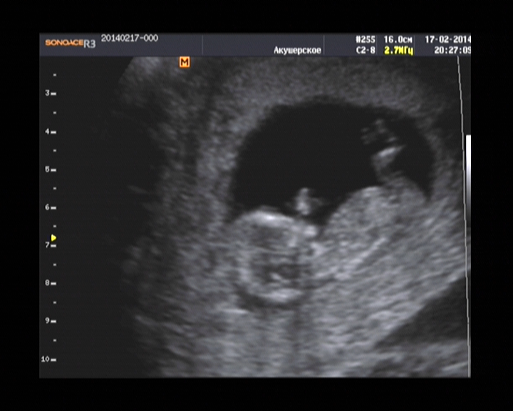 Дождалась наконец-то!