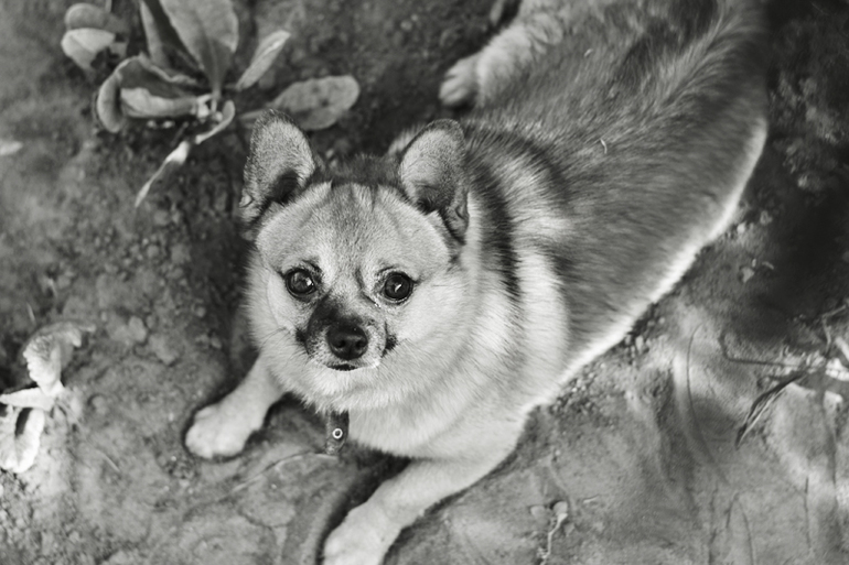 Контрольное задание № 19. Делаем черно-белое фото в Photoshop