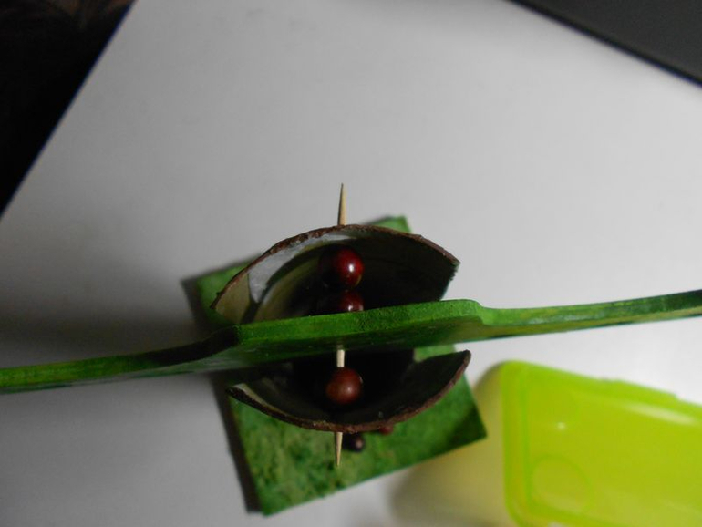 Игра Обезьянки на дереве