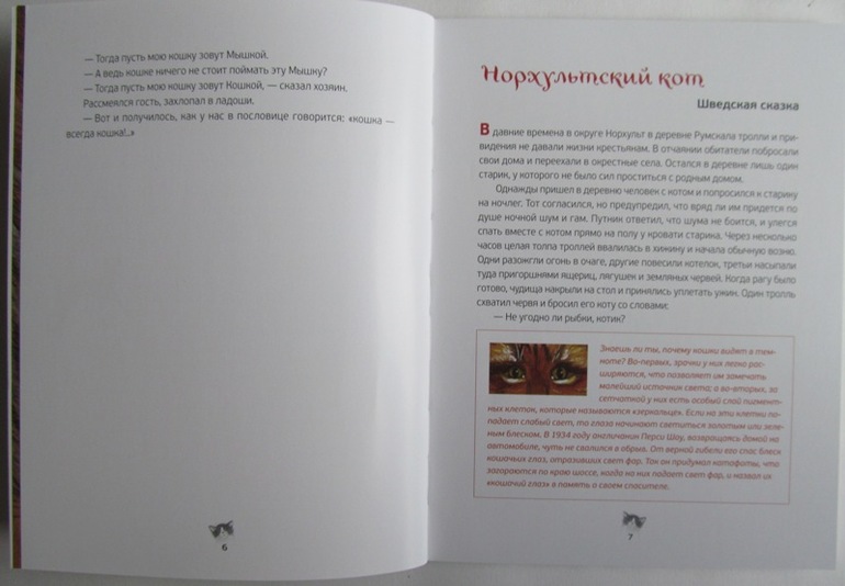 Сказки: кошачьи, птичьи, фруктовые!