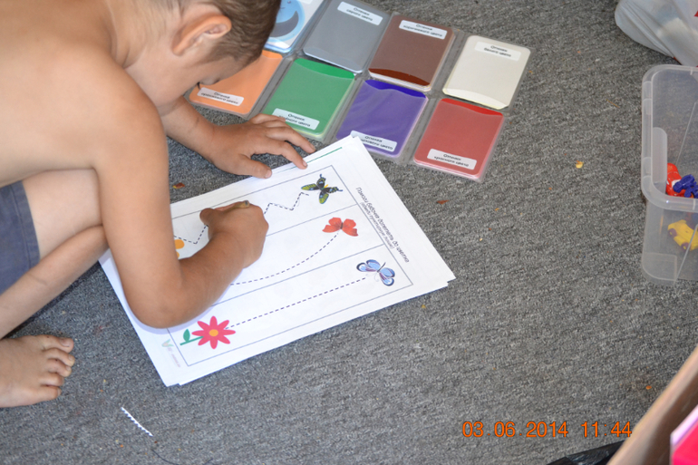 Тематическая неделька ЛЕТО. День третий. Фотоохота на насекомых.