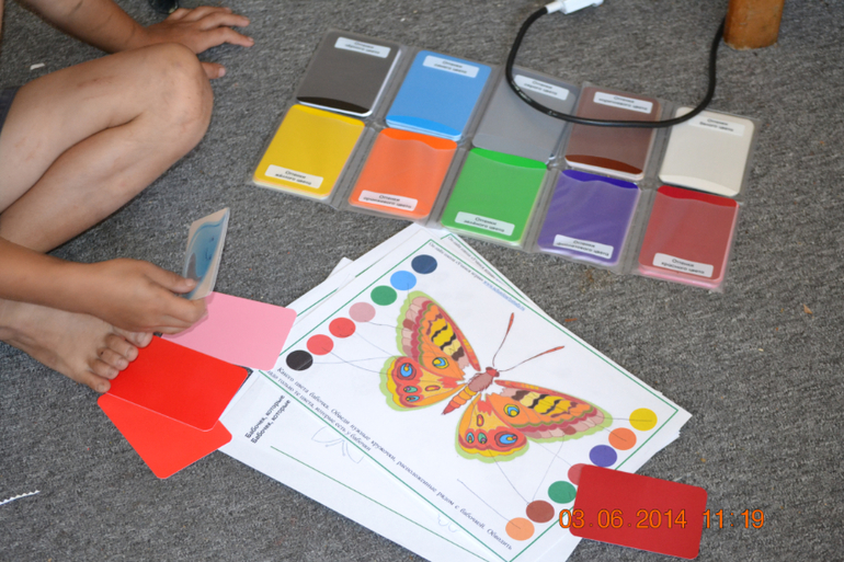 Тематическая неделька ЛЕТО. День третий. Фотоохота на насекомых.