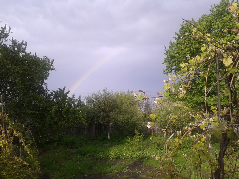 Счастья всем мамочкам!