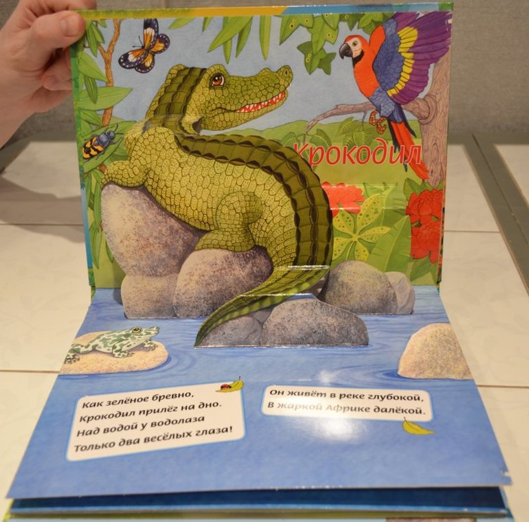 Книжки-панорамки по супер ценам)))))))