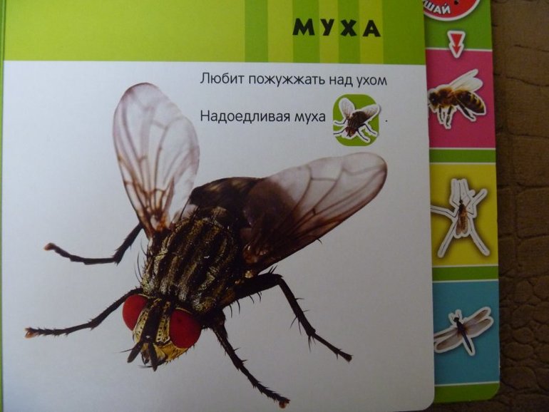 Шок цена на серию книг от издательства Азбукварик