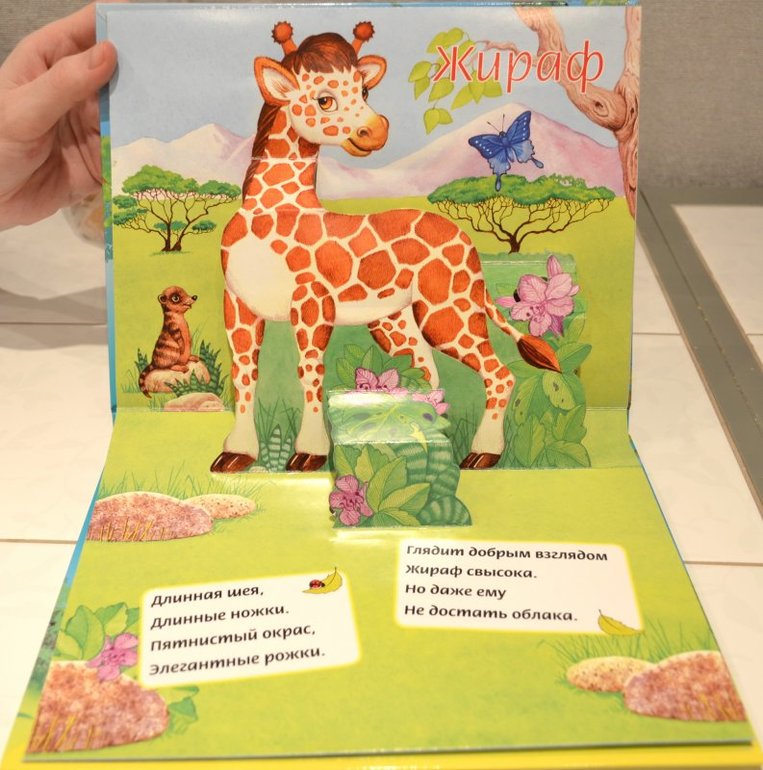 Книжки-панорамки по супер ценам)))))))