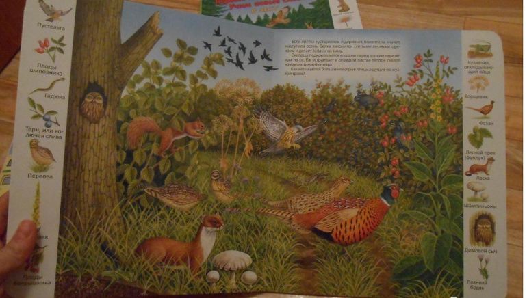 Отличная серия картонных книг для развития деток со скидкой))