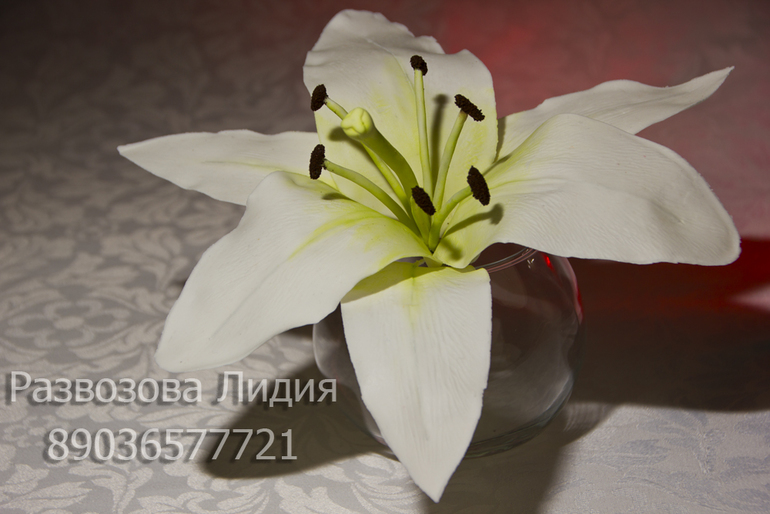 Мои первые лилии.