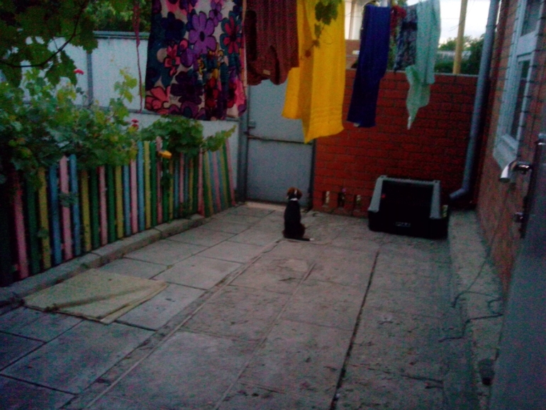 Отпуск и беременность, куда ехать?