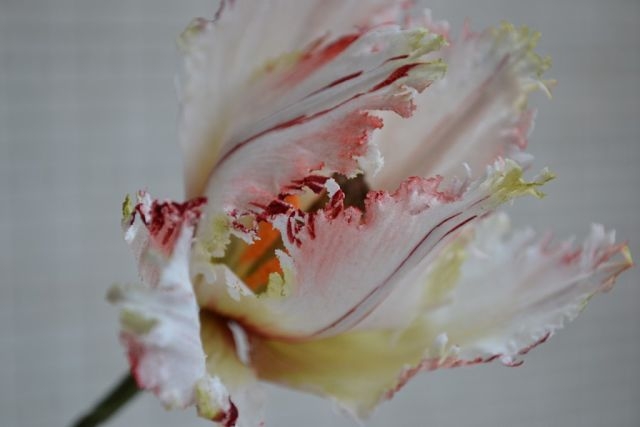 Весенние настроение.......