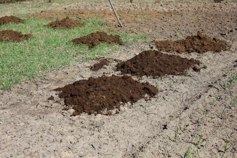 Как избавится от проволочника