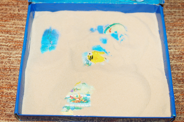 Морская коробочка в детский сад