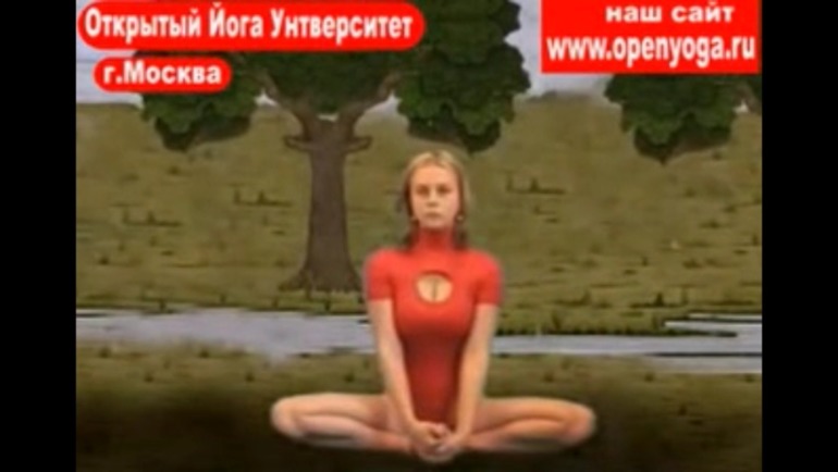 Йога... (список асан)
