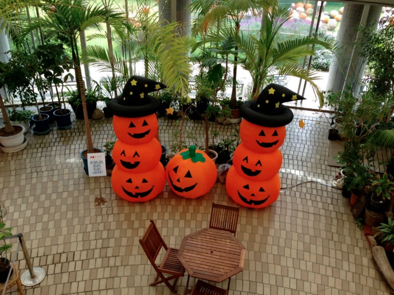 Happy Halloween!