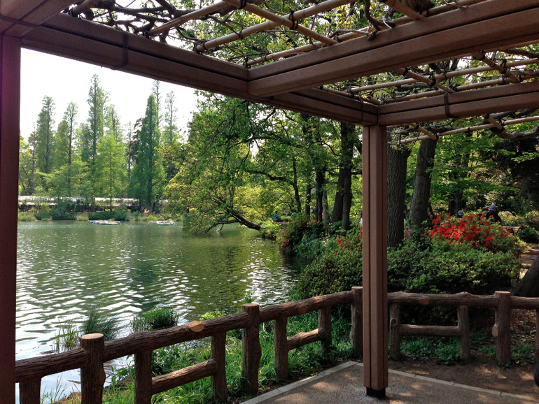 Inokashira Park...