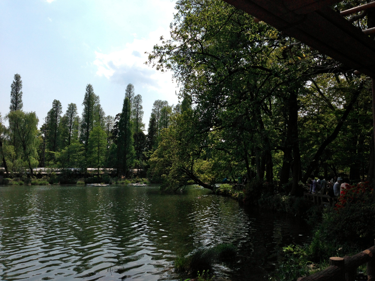 Inokashira Park...