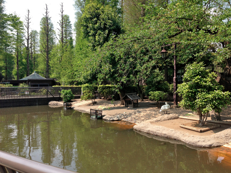 Inokashira Park...