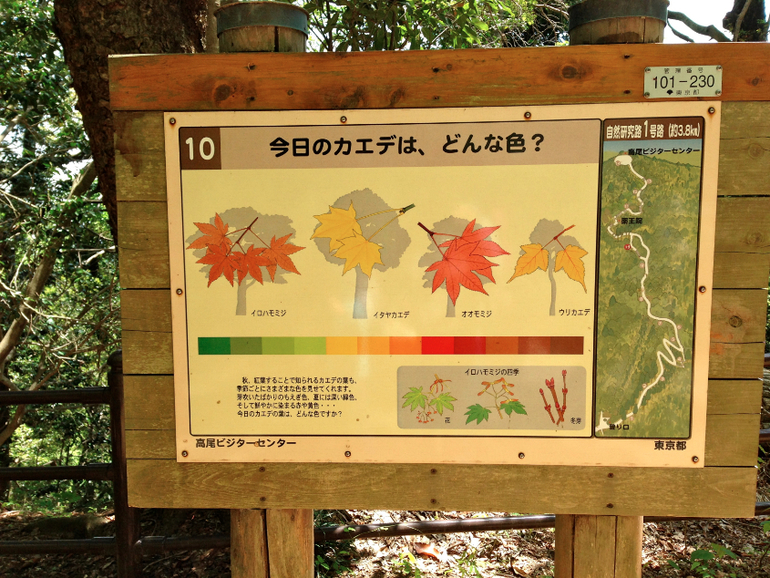 5fc82414576f1e9075fd82e3d20be7ac.jpg
