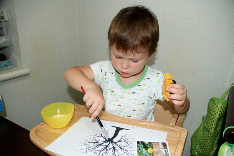 Южная Америка...