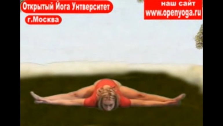 Йога... (список асан)