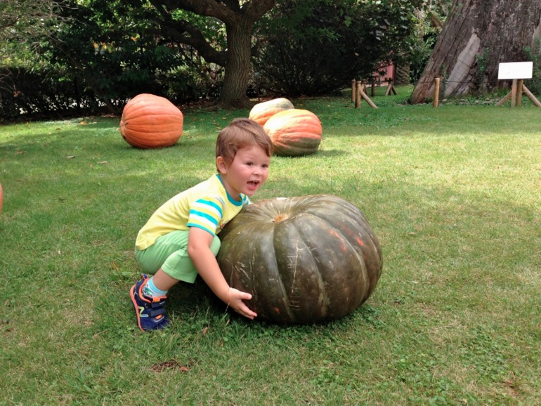 Happy Halloween!