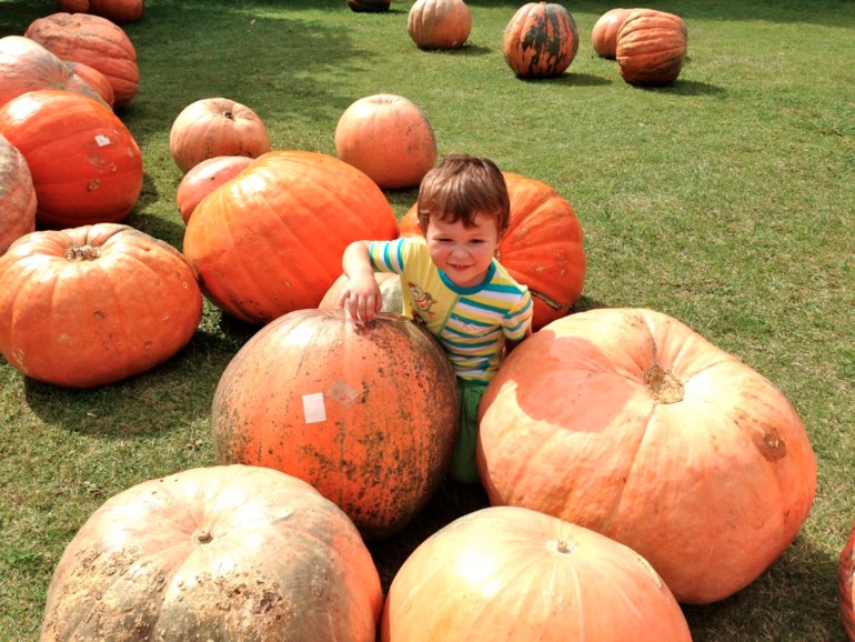 Happy Halloween!