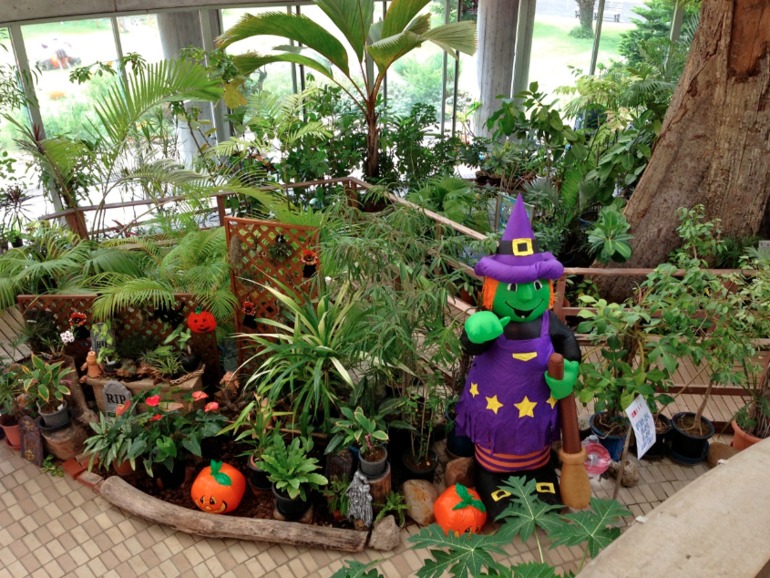 Happy Halloween!