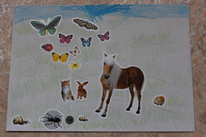 Наши летние творилки !